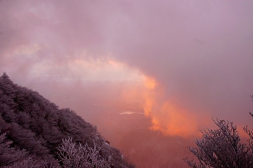 初日の出