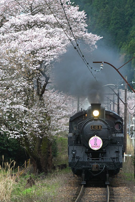 朝太郎さん、家山鉄橋付近