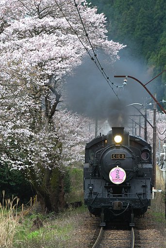 朝太郎さん、家山鉄橋付近