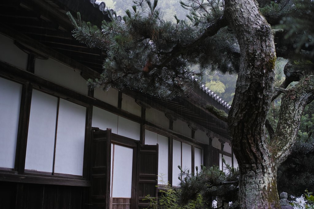 禅寺の雨