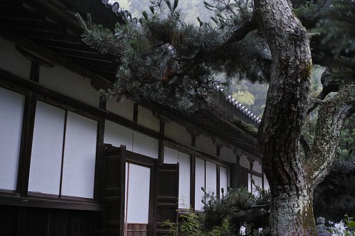 禅寺の雨