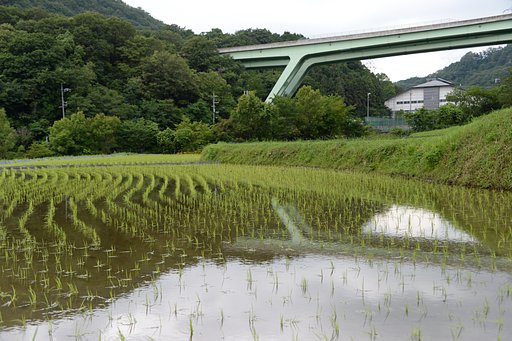橋と空と