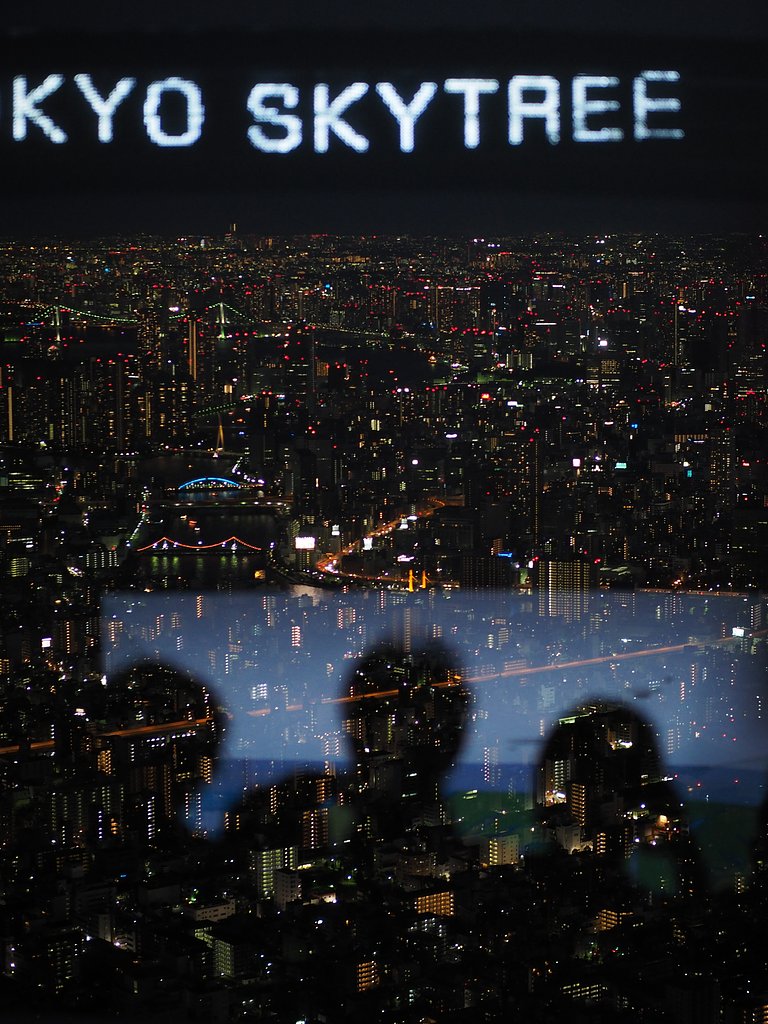 夜のシルエット