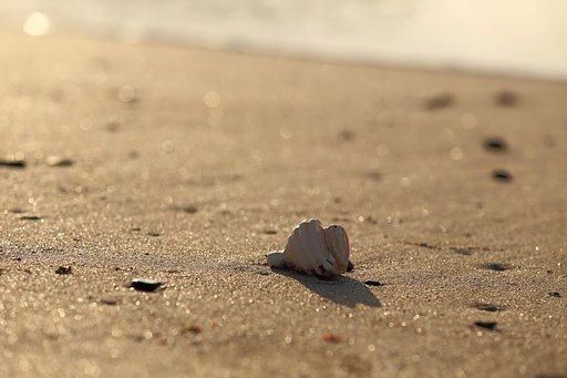 静かな冬の浜辺