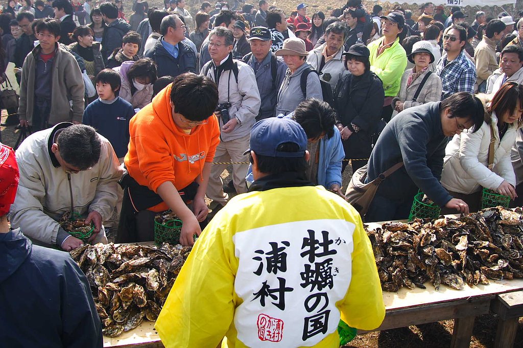 カキ横丁にて