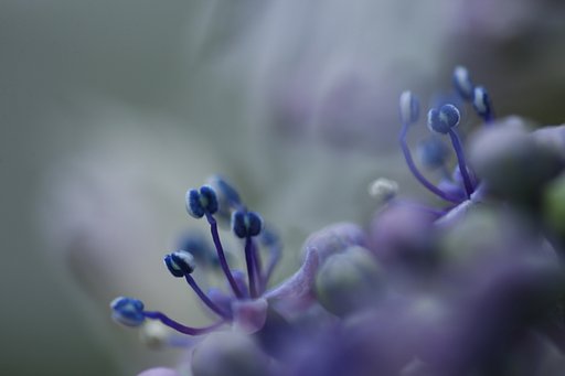 6月3日の写真