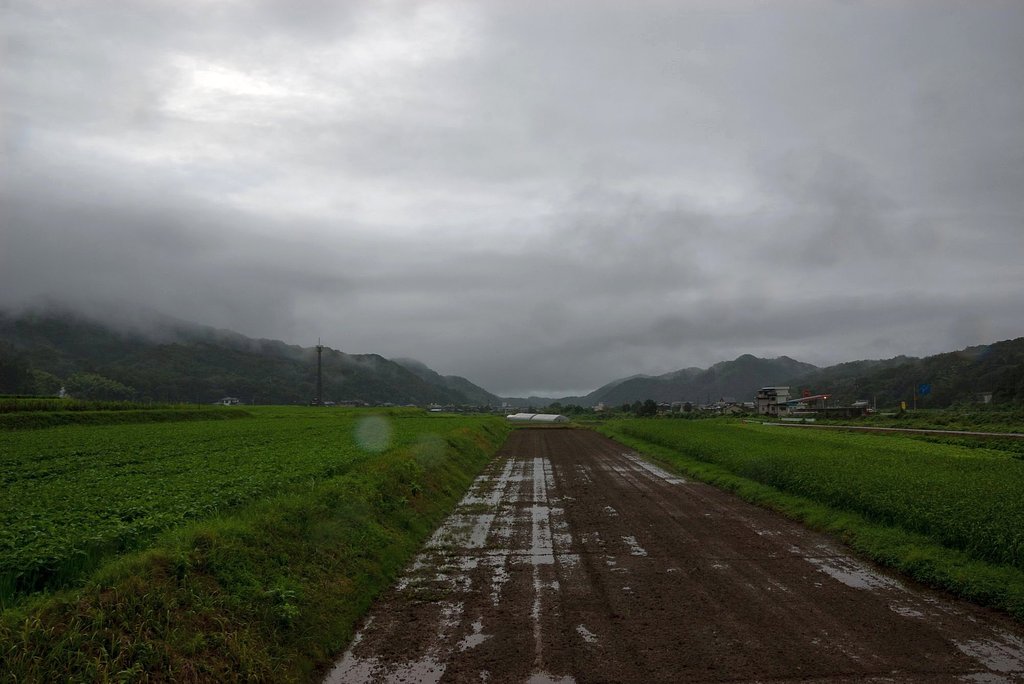 雨降に・・。