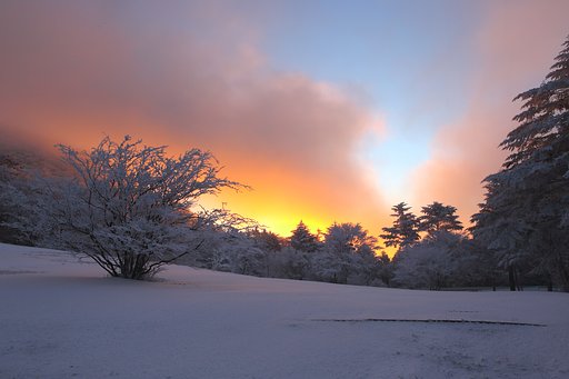 雪中朝焼