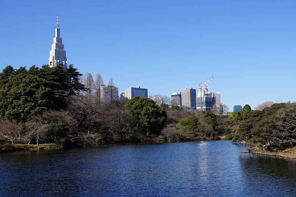 新宿御苑にて