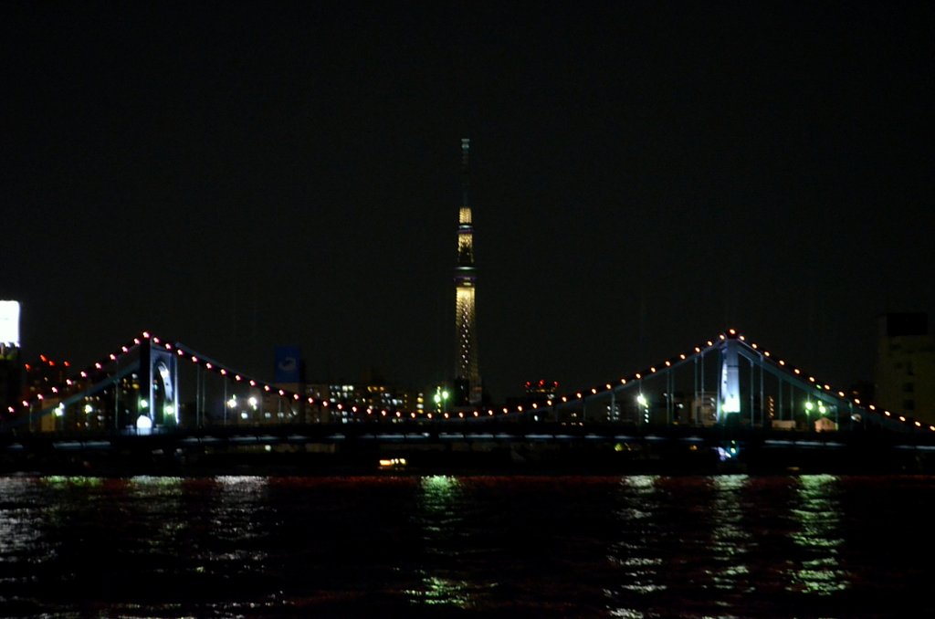 清洲橋と東京スカイツリー
