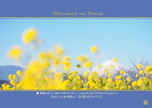 春風のダンス