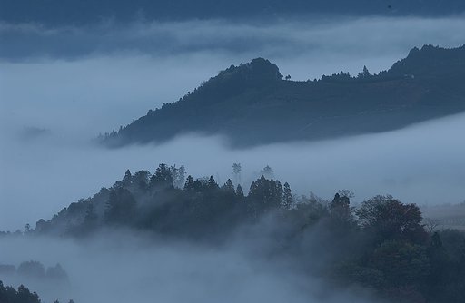 蒼い世界