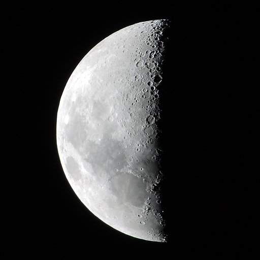 5月19日の写真