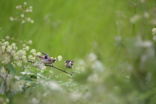 甘えたい盛り
