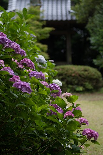 鐘楼