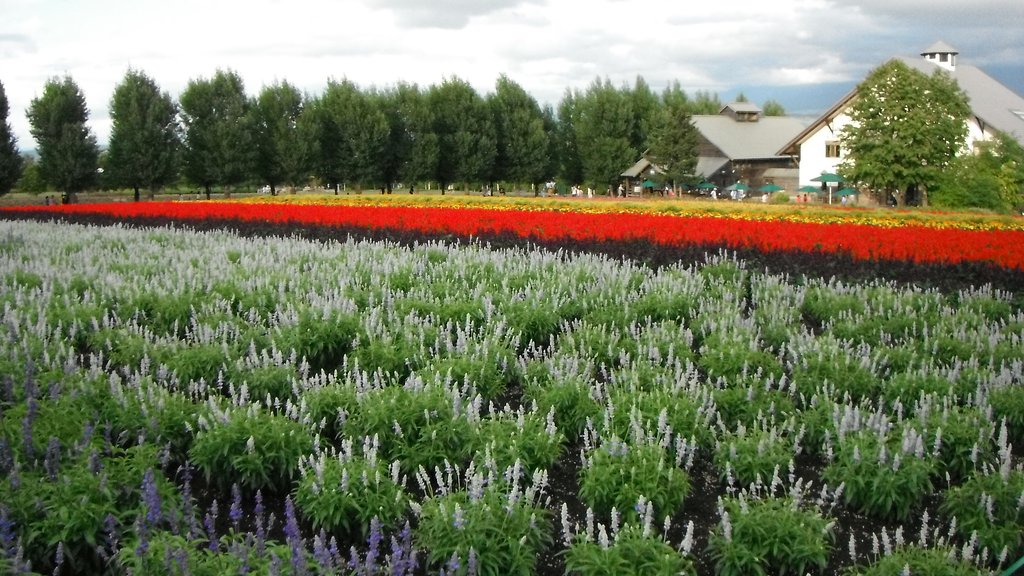【木】花園