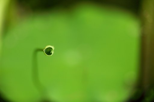 ハートで笑顔に♪
