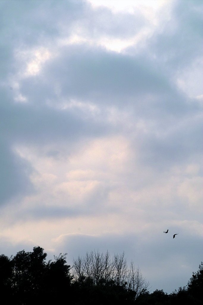 夕雲