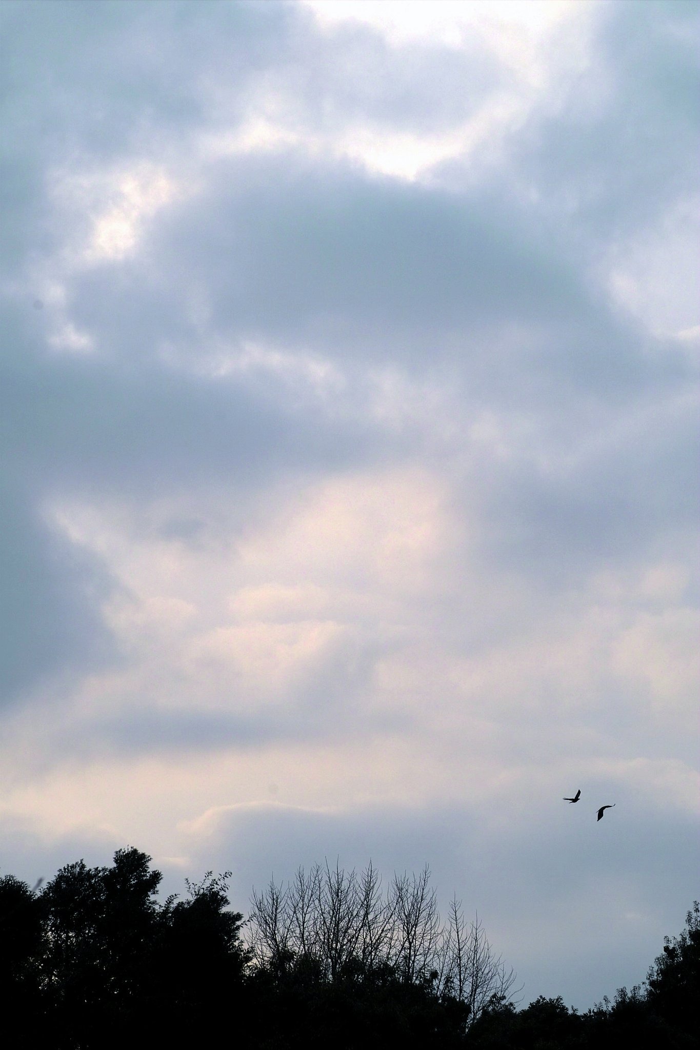 夕雲