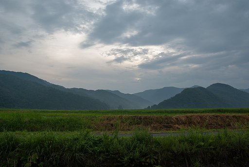 曇り後雨。