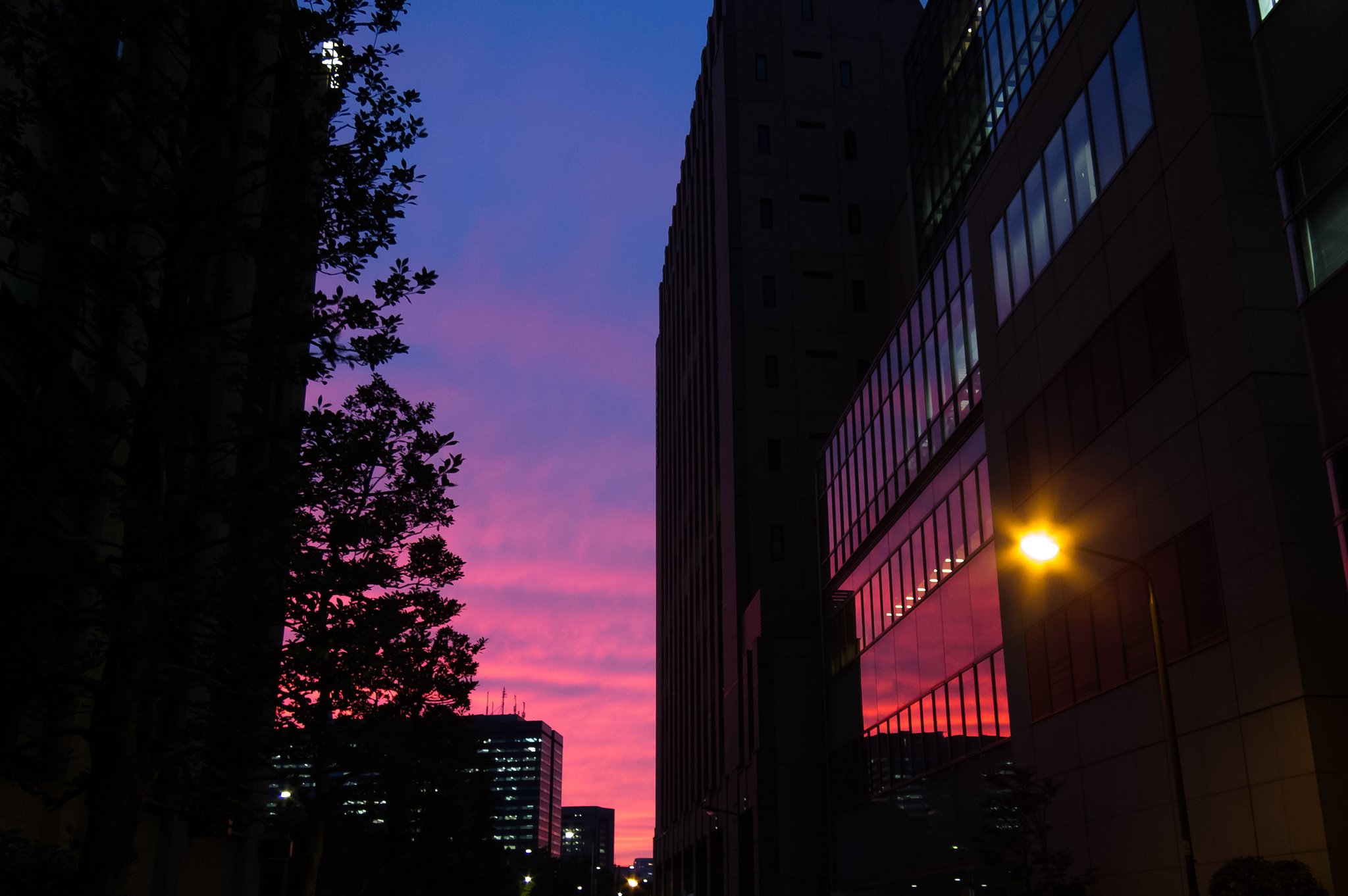日比谷の夕焼け