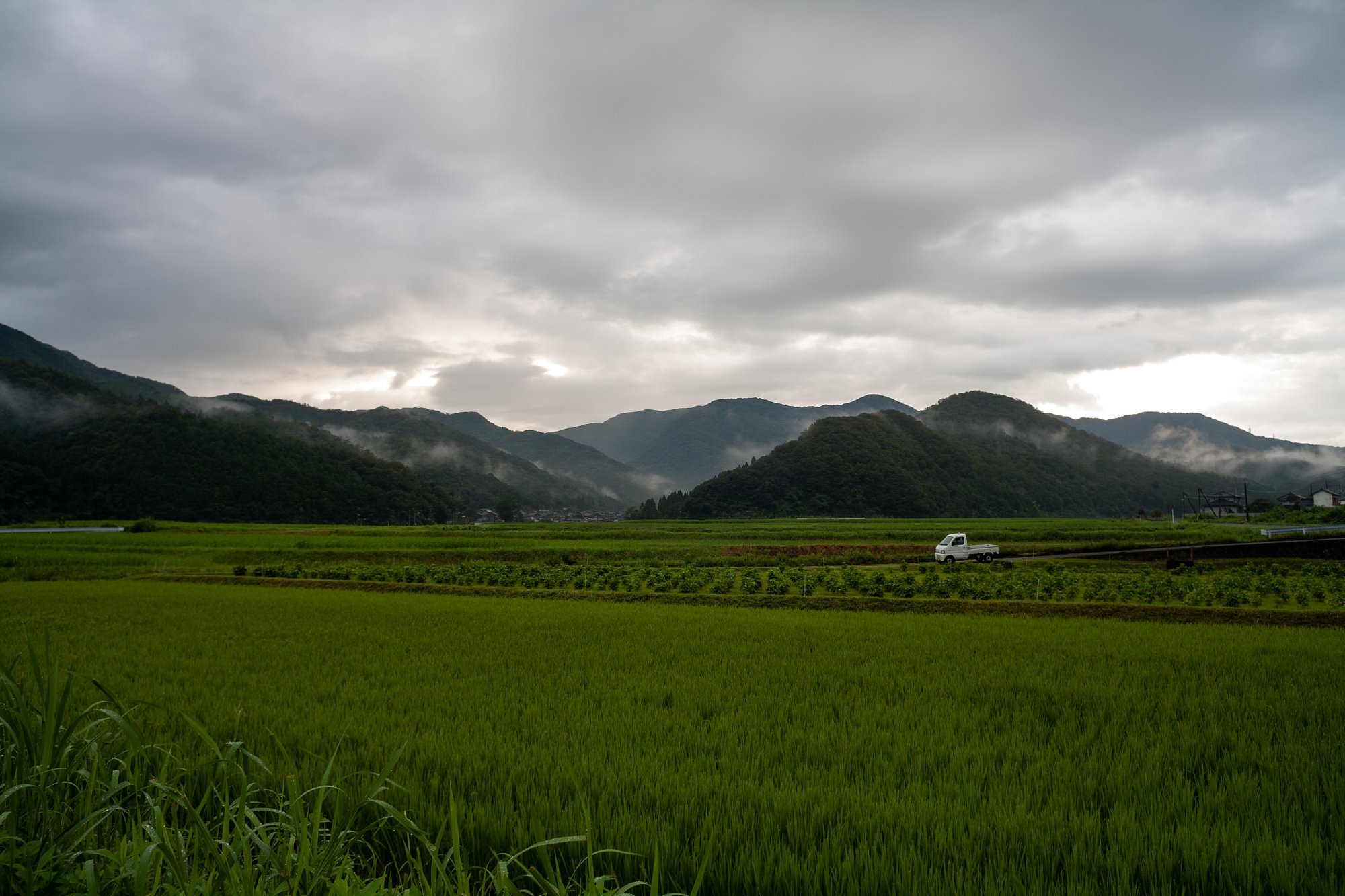 水田地帯から・・。