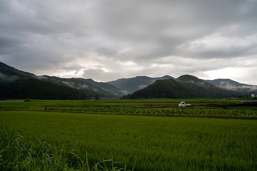 水田地帯から・・。