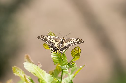 夏の日差し