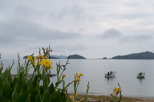小舟