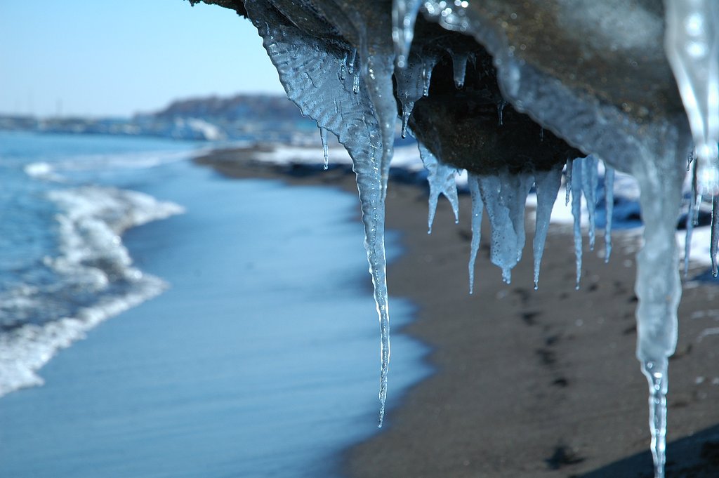 砂浜