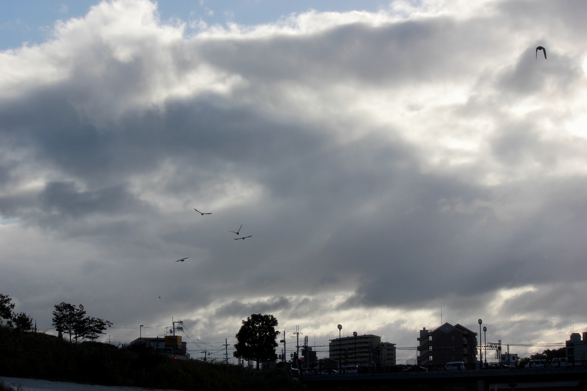 虹を背にした朝の空