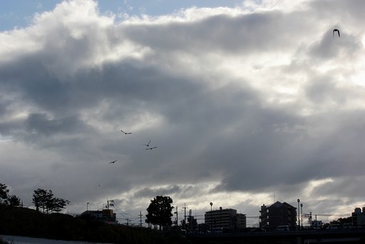 虹を背にした朝の空