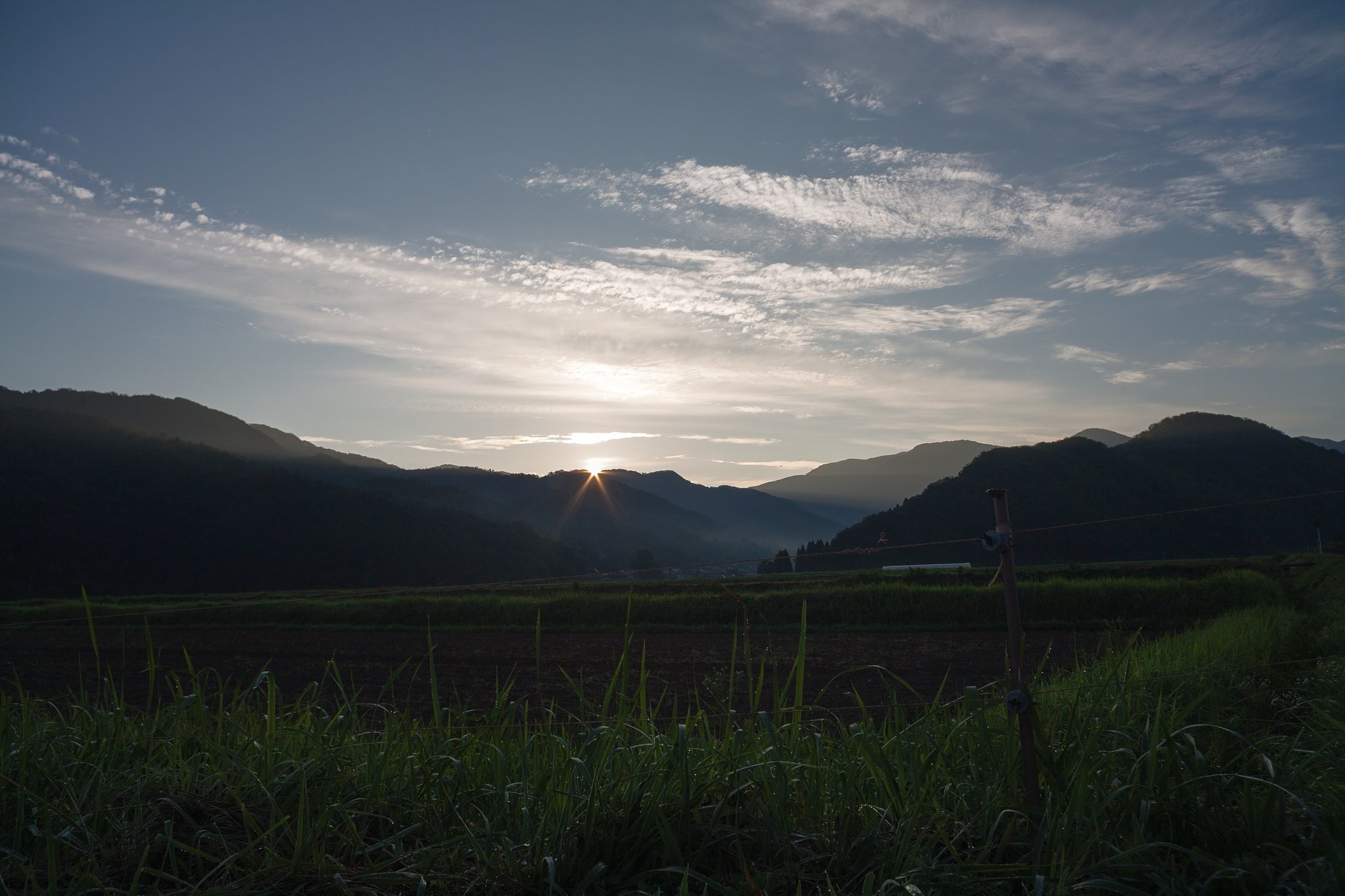 良く晴れた朝に。