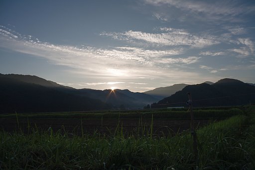 良く晴れた朝に。