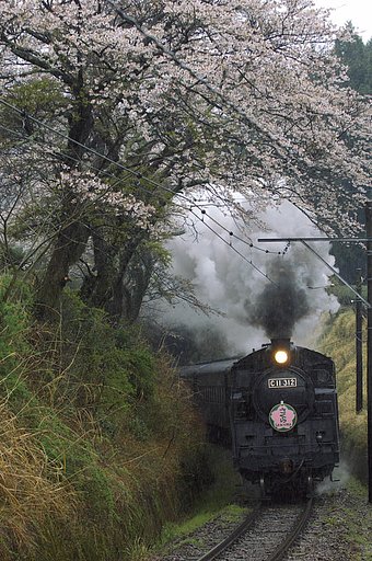 地名　桜の下を