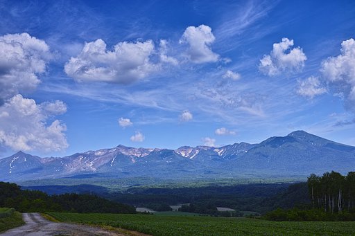 6月27日の写真