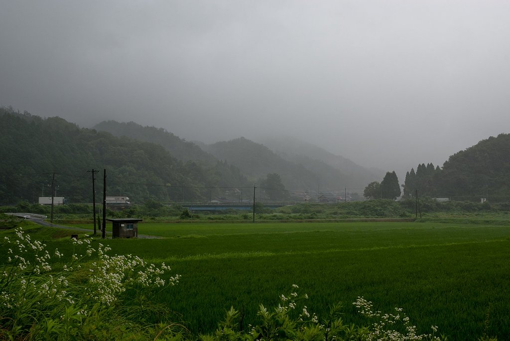 大雨降りに・・。