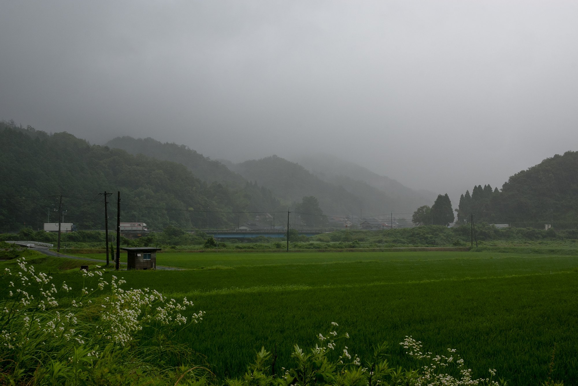 大雨降りに・・。