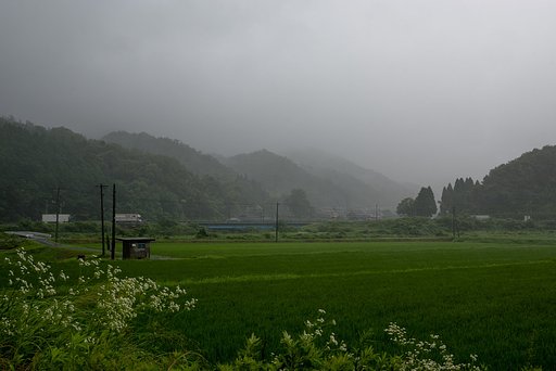大雨降りに・・。
