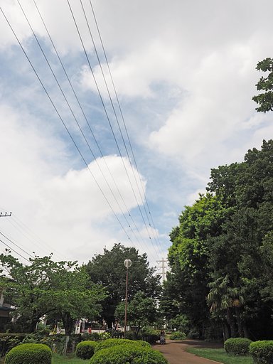 夏のベール