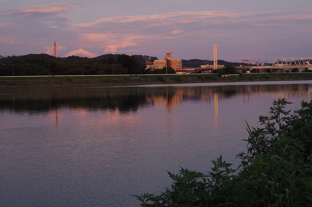 早朝の川