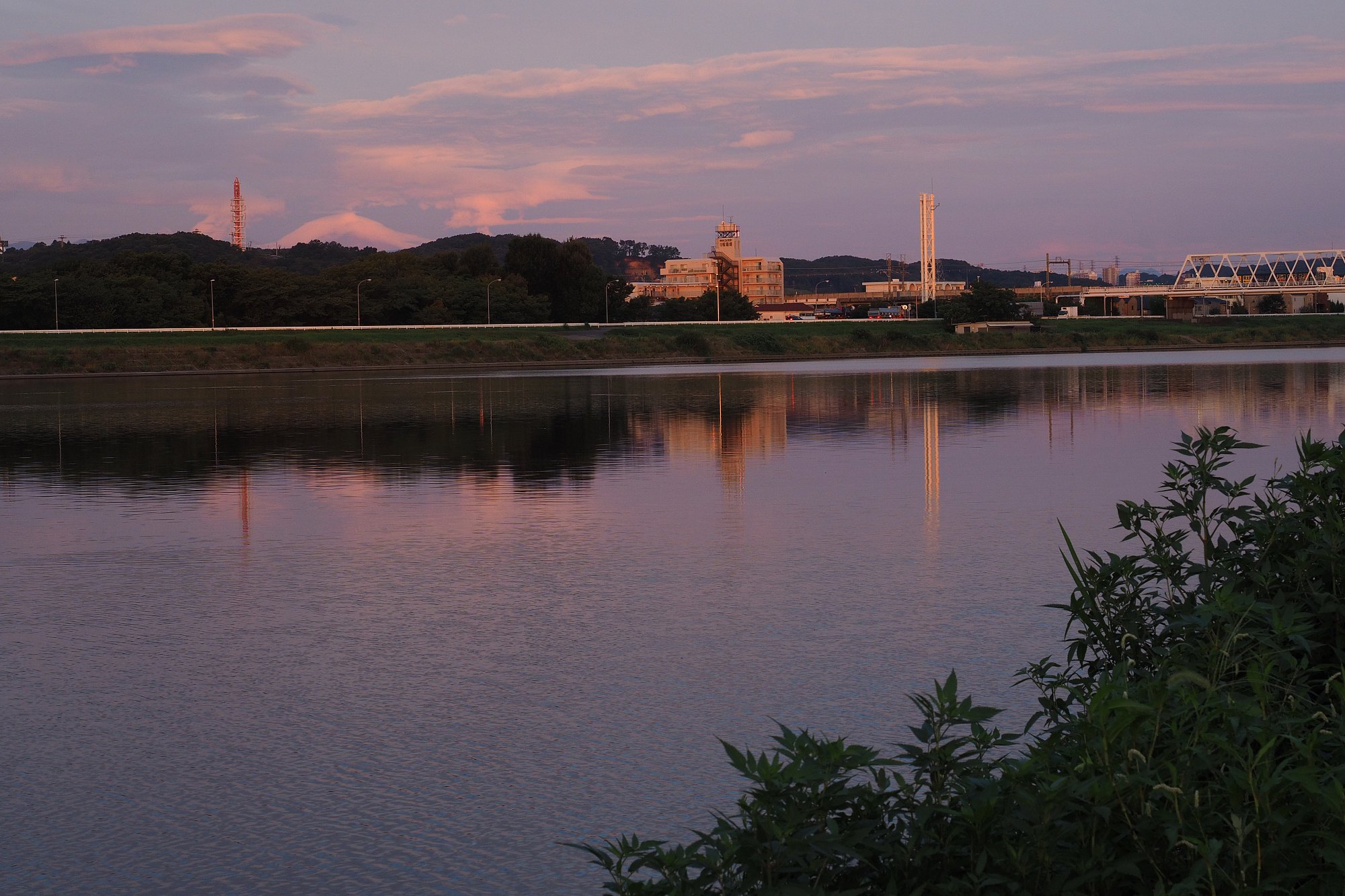 早朝の川