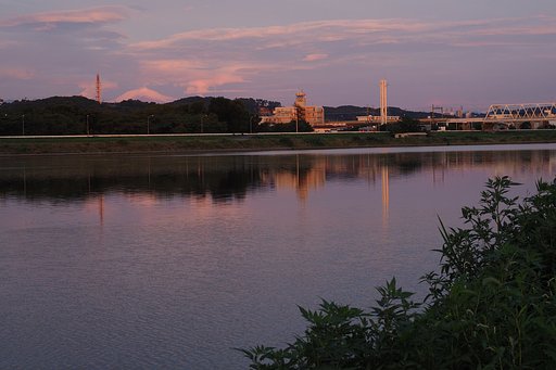 早朝の川