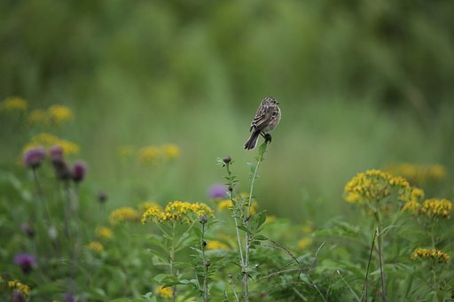 夏の行く末