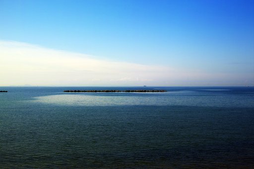 海