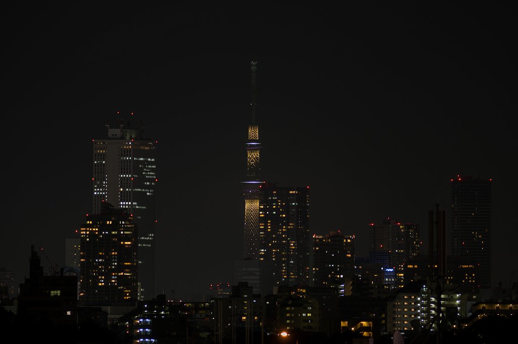 夜のスカイツリー＠練馬