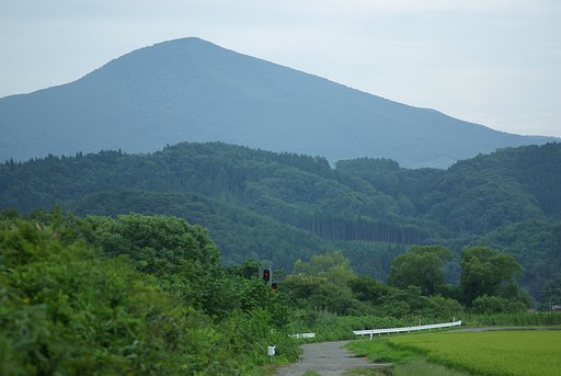 ふるさとの山はありがたきかな