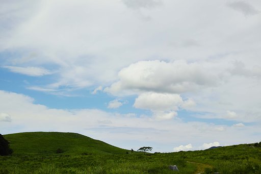 雨がふるので