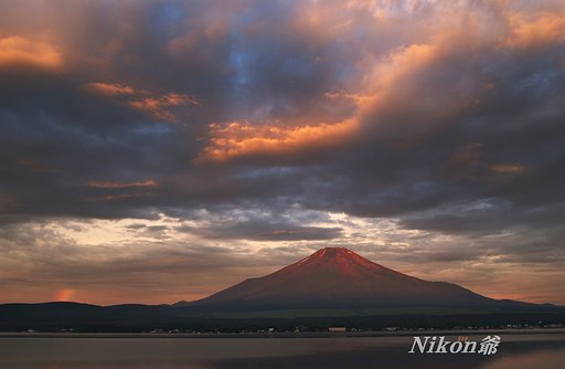 溢れる光景