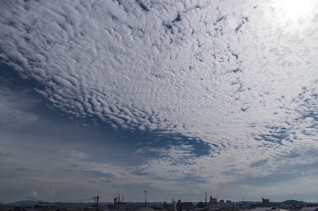 空　秋めく